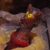 なかむのアイコン